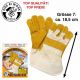 Safety Glove for Kids