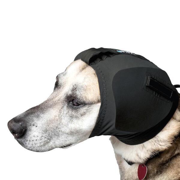 Hundegehörschutz Rex Specs Ear Pro ist der passende Gehörschutz für alle Hunde, verfügbar in 3 Größen (Klein, Mittel und Groß).