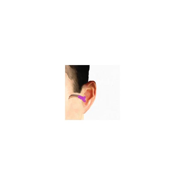 Otifleks Vibes Gehörschutzstöpsel, Ohrstöpsel für Musik, Freizeit & Büro, wiederverwendbar, Größe M, 1 Paar, SNR 17 dB
